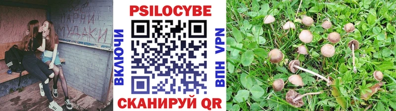 Псилоцибиновые грибы Psilocybine cubensis  Купить закладки  Кондопога 